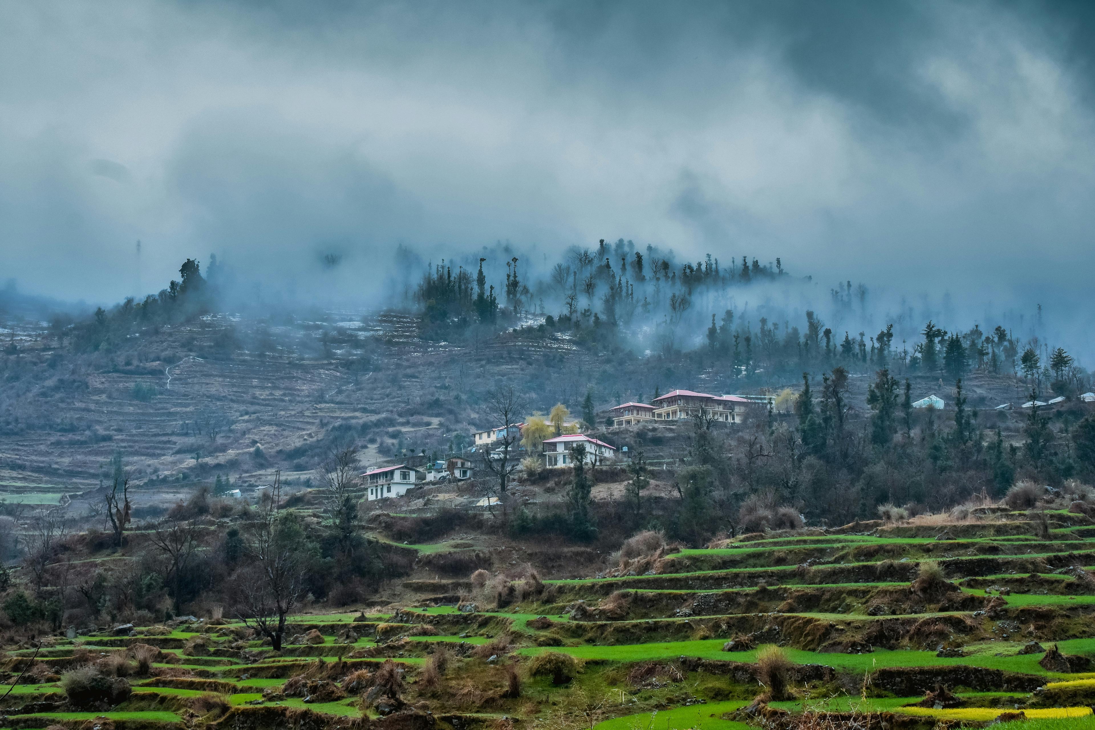 Yoga, Meditation and Himachali Vibes