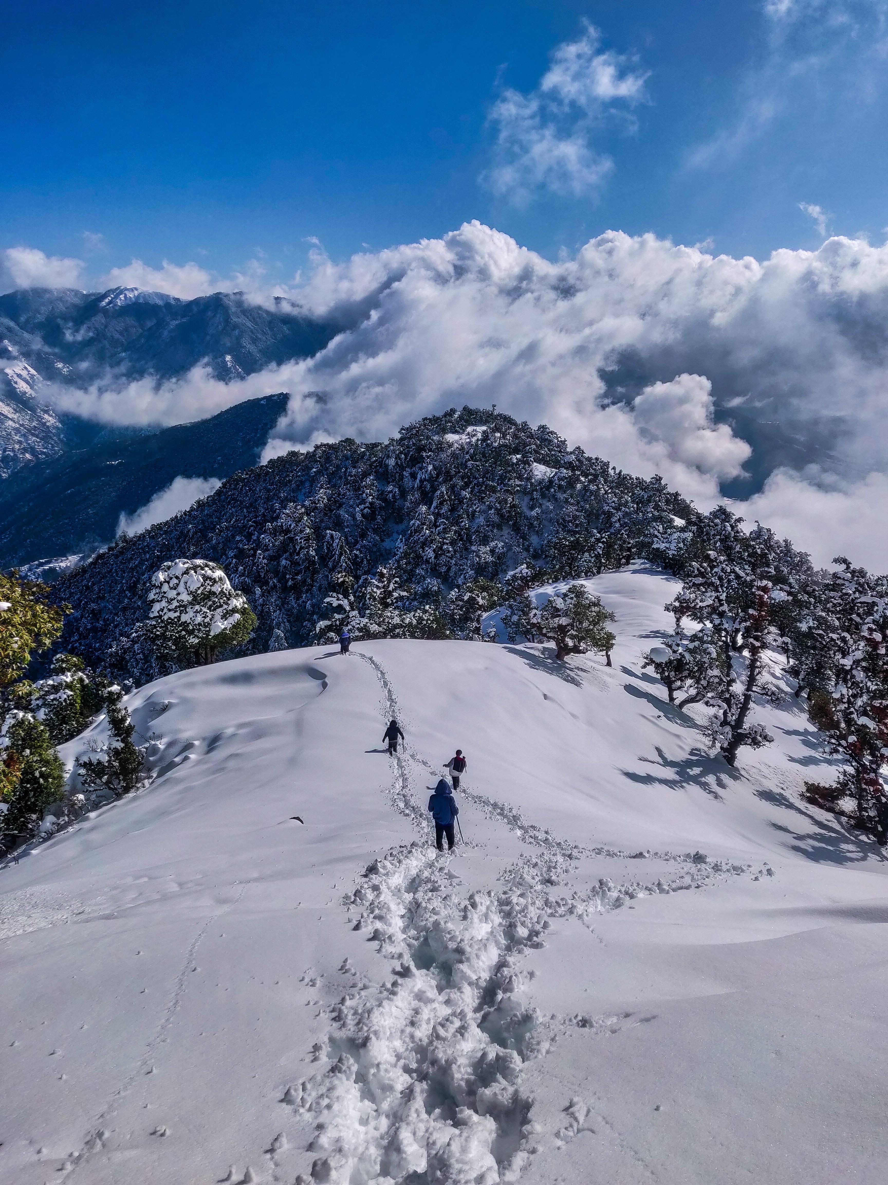 Great himalayan national park