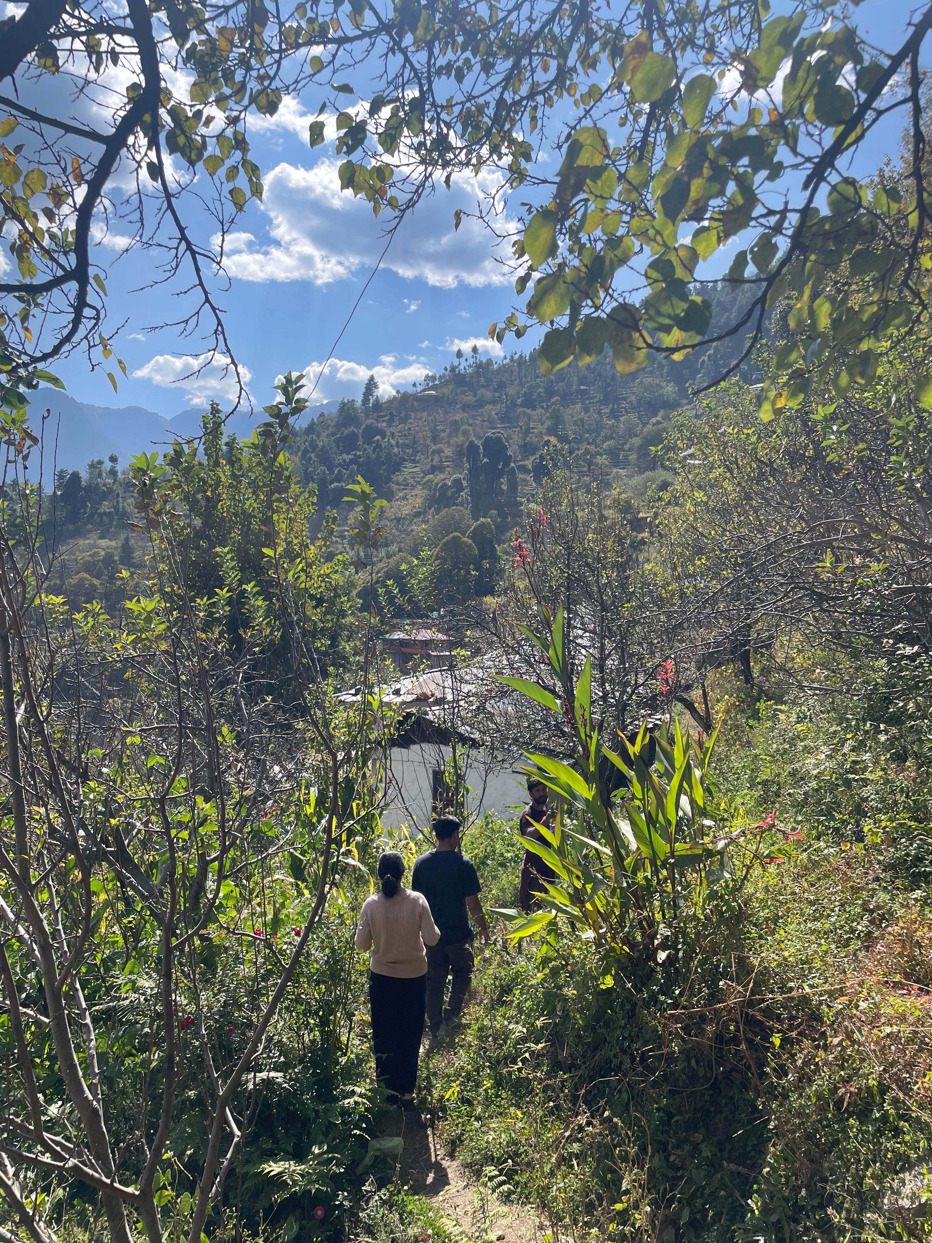 Tirthan valley